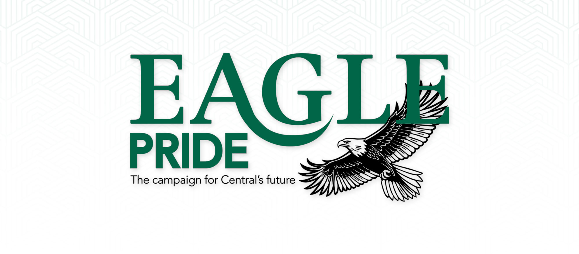 鹰的骄傲 Campaign